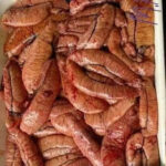 IMG-2025031werw7-WA0014