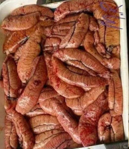 IMG-2025031werw7-WA0014