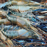 IMG-2025056ry317-WA0014