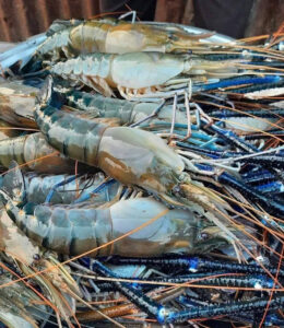 IMG-2025056ry317-WA0014