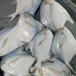 IMG-20250wqeq317-WA0014